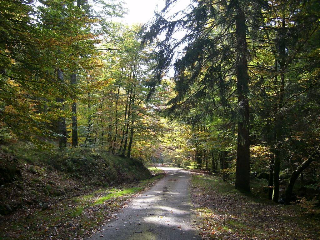 Chalet Du Montal Dun-les-Places Rom bilde